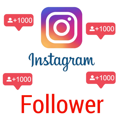 instagram followers